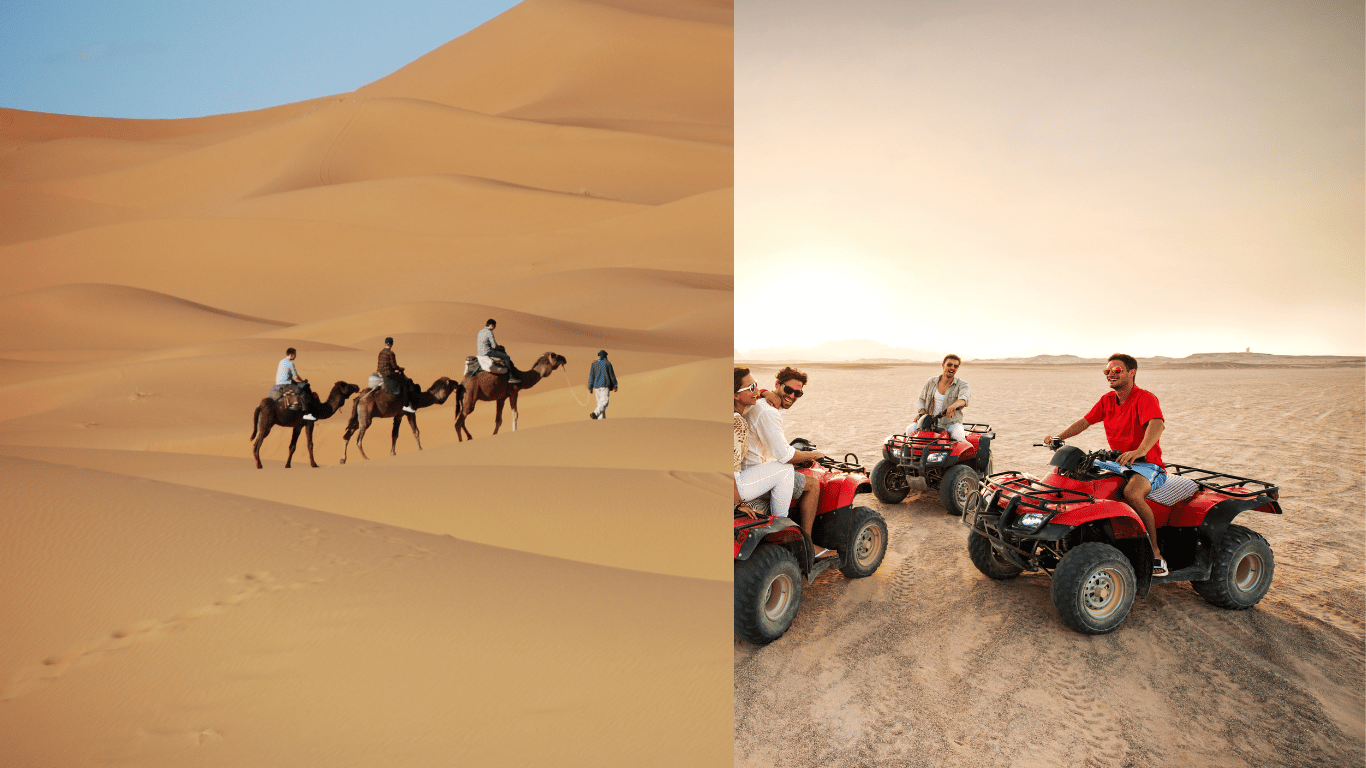 Marrakech Quad Biking and Camel Riding Tour